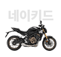 네이키드