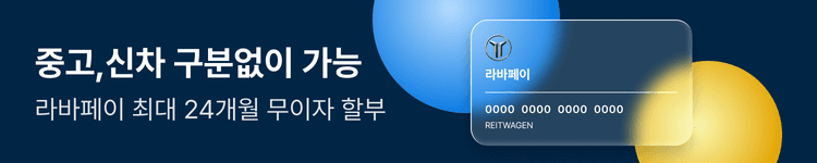 라바페이 최대 24개월 무이자 할부
