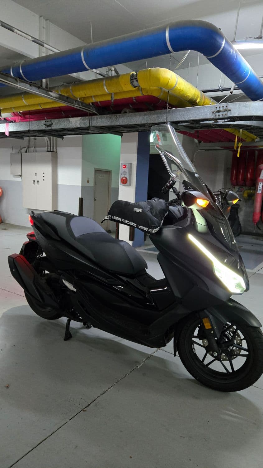 혼다 포르자 350 3