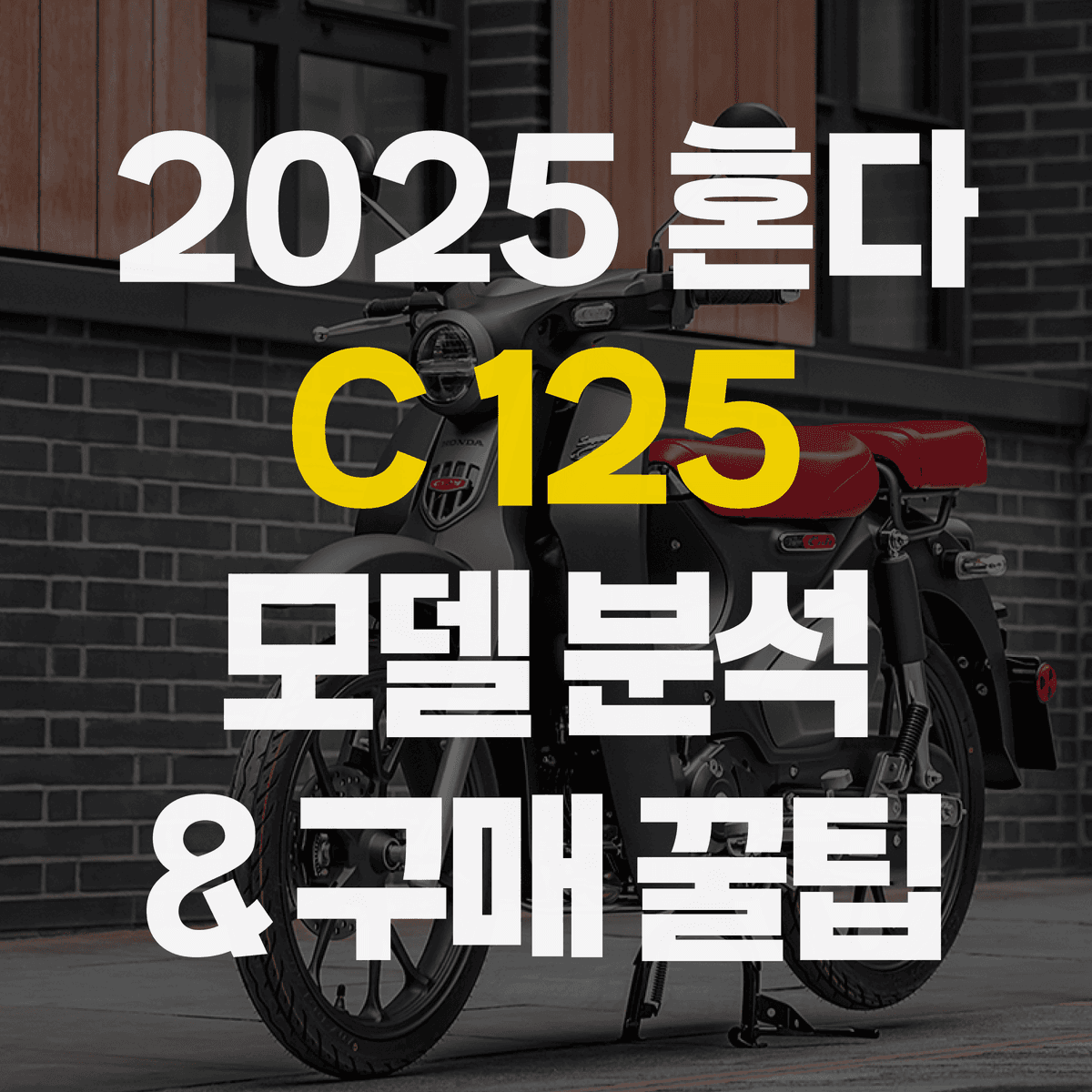 2025 혼다 C125 모델 분석 & 다양한 구매 방법 | 중고, 신차, 구매, 할부, 특징, 가격, 스쿠터