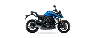 GSX S 1000