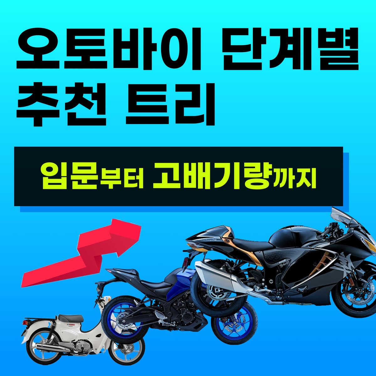오토바이 단계별 추천 트리 1편 : 입문부터 고배기량까지 | 125cc, 쿼터급, 미들급, 리터급