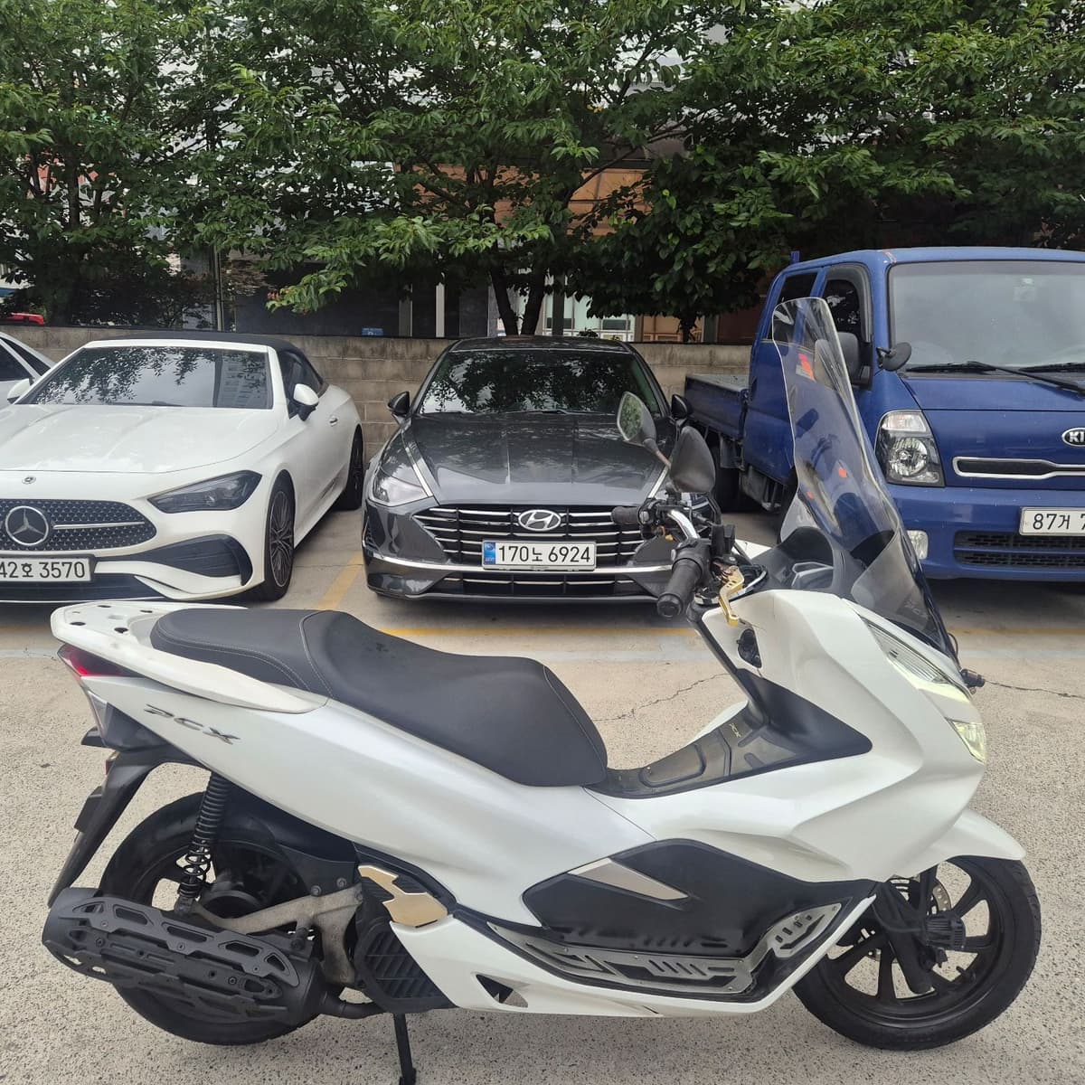 혼다 PCX 125 5