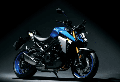 GSX S 1000