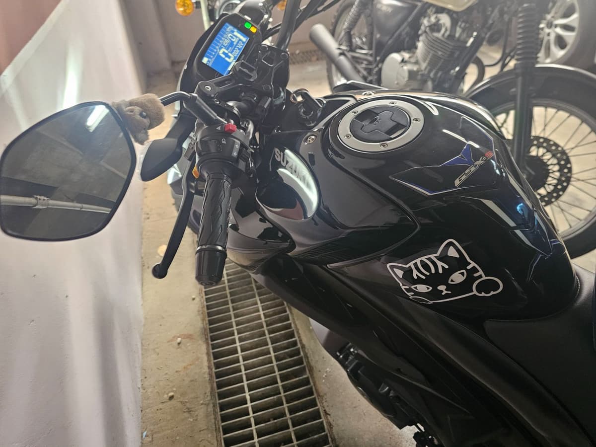 스즈키 GSX S 125 6