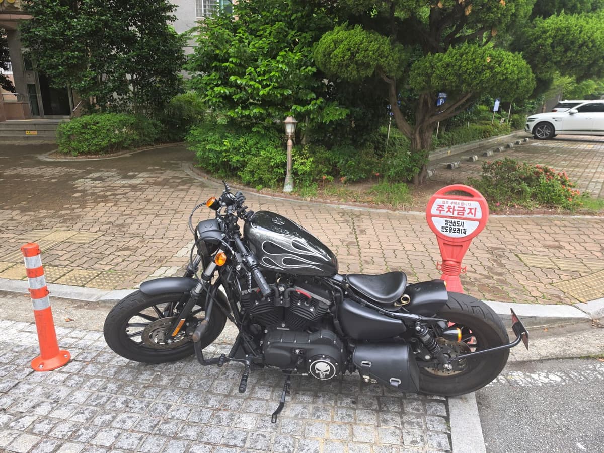 할리데이비슨 아이언 883 3