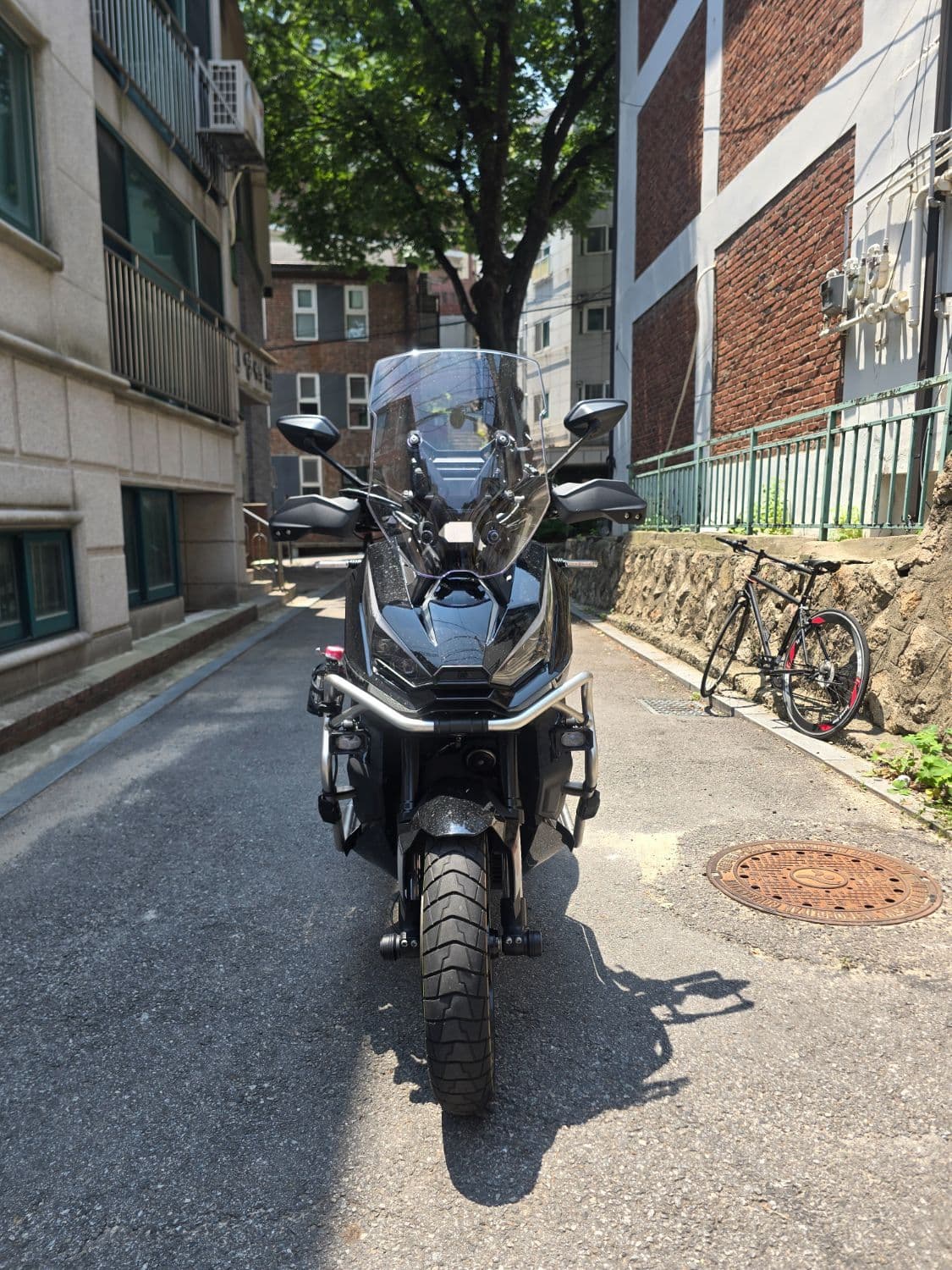 존테스 368 G 1