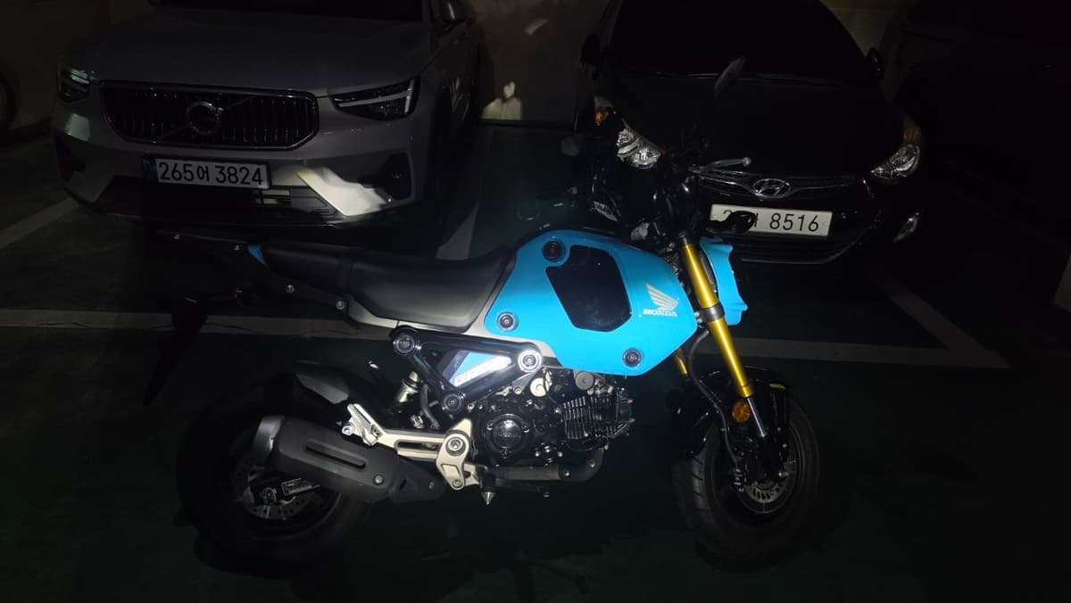 혼다 MSX 125 그롬 2