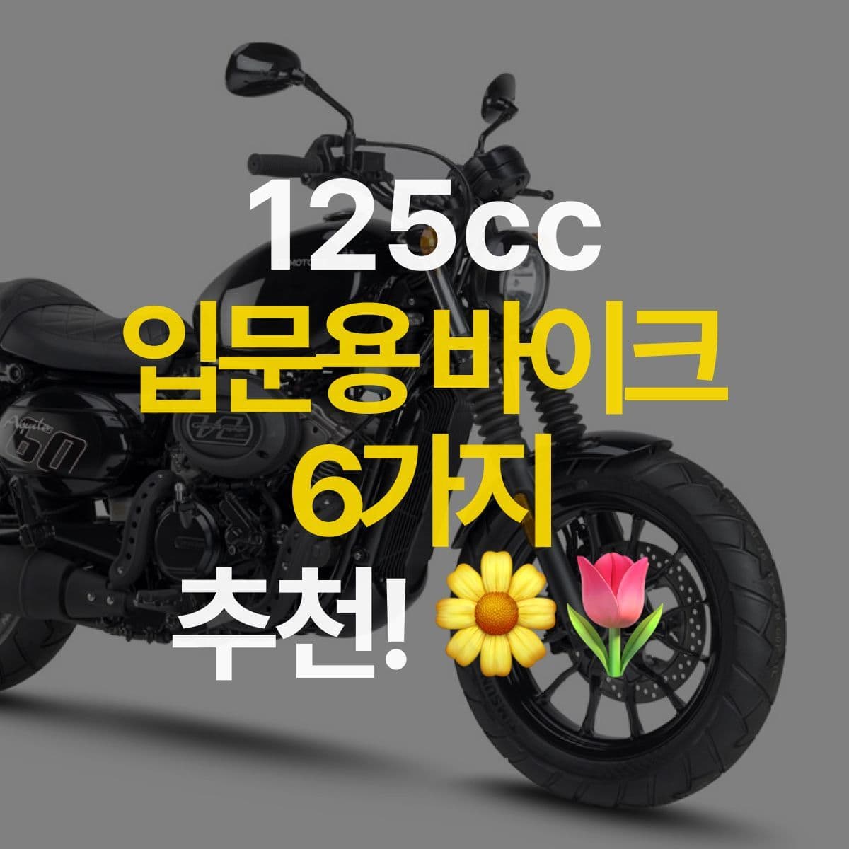 125cc 입문용 오토바이 5가지 추천 2편!