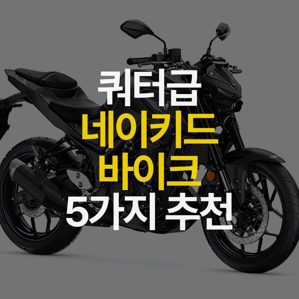 이걸로 입문하세요! 쿼터급 네이키드 바이크 5가지 추천
