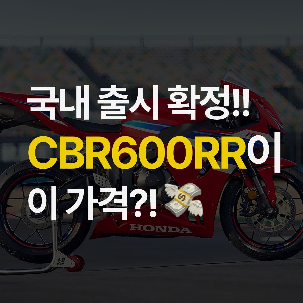 드디어 국내 출시 확정!! 혼다 CBR600RR이 이 가격? 그럼 난 이거 산다