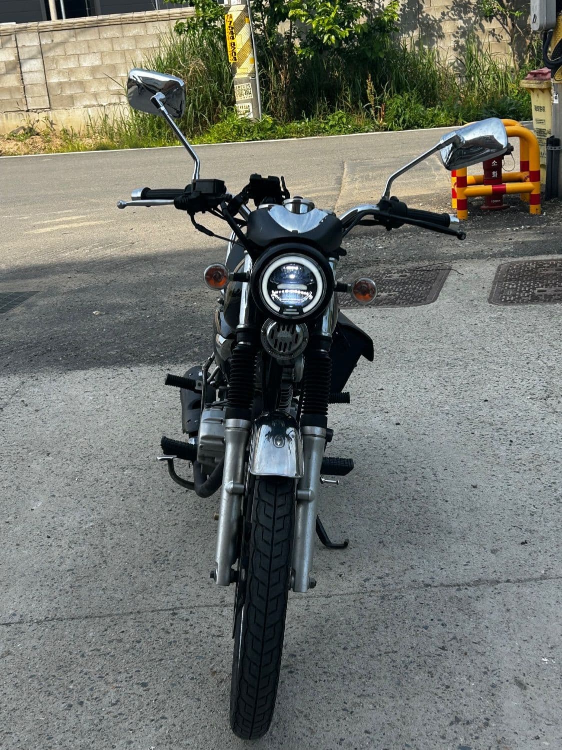 SYM 울프 125 1
