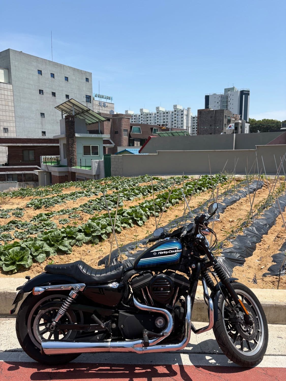 할리데이비슨 883 R 1