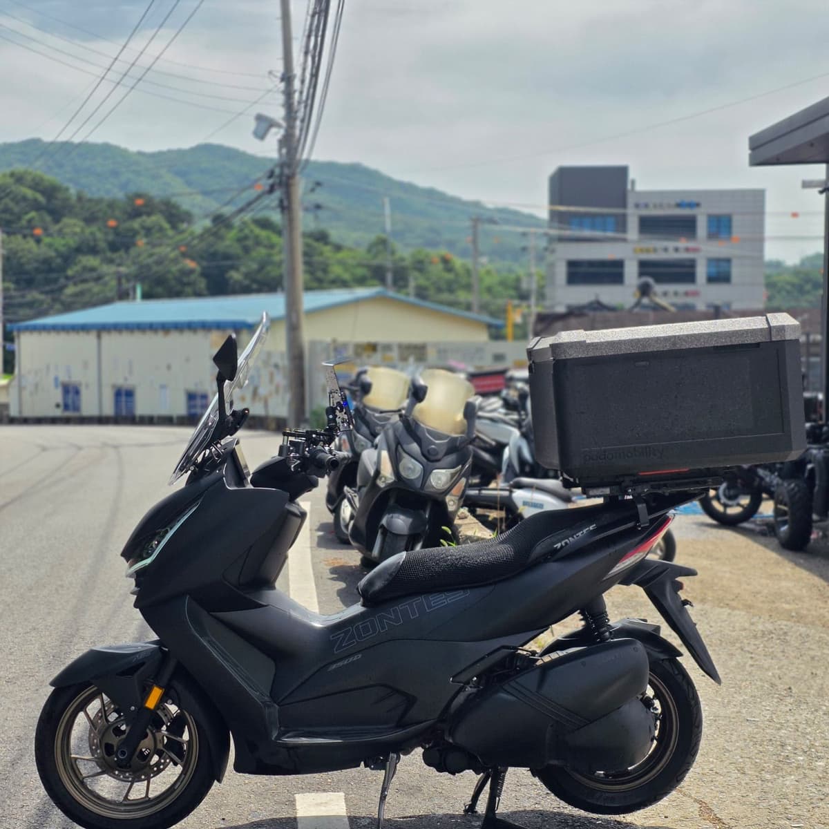 존테스 350 D 4