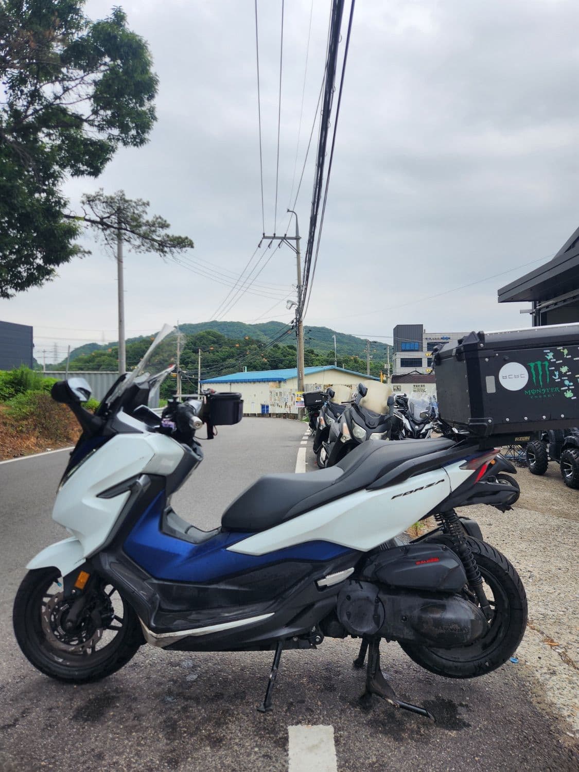 혼다 포르자 300 5