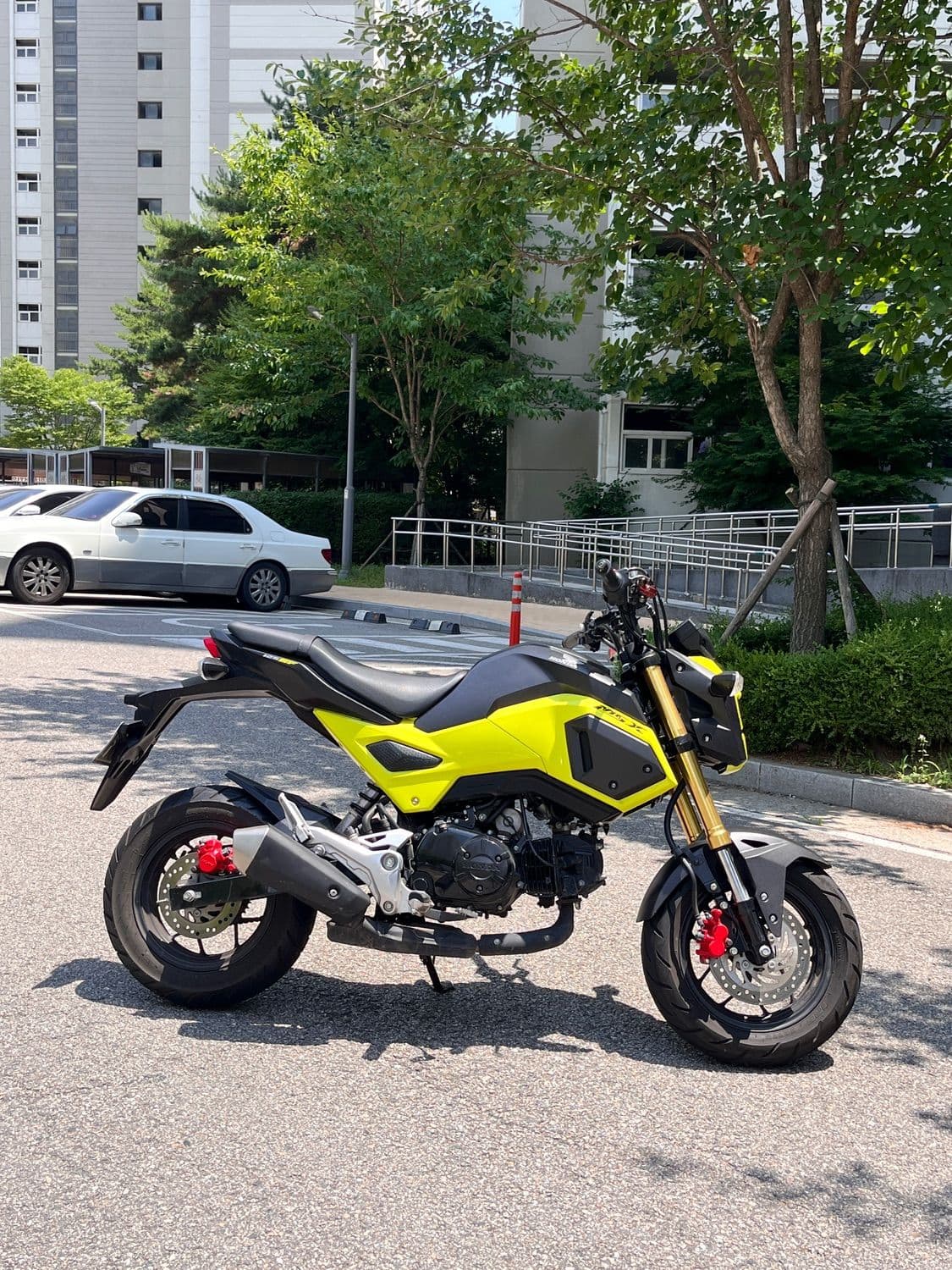 혼다 MSX 125 SF 1