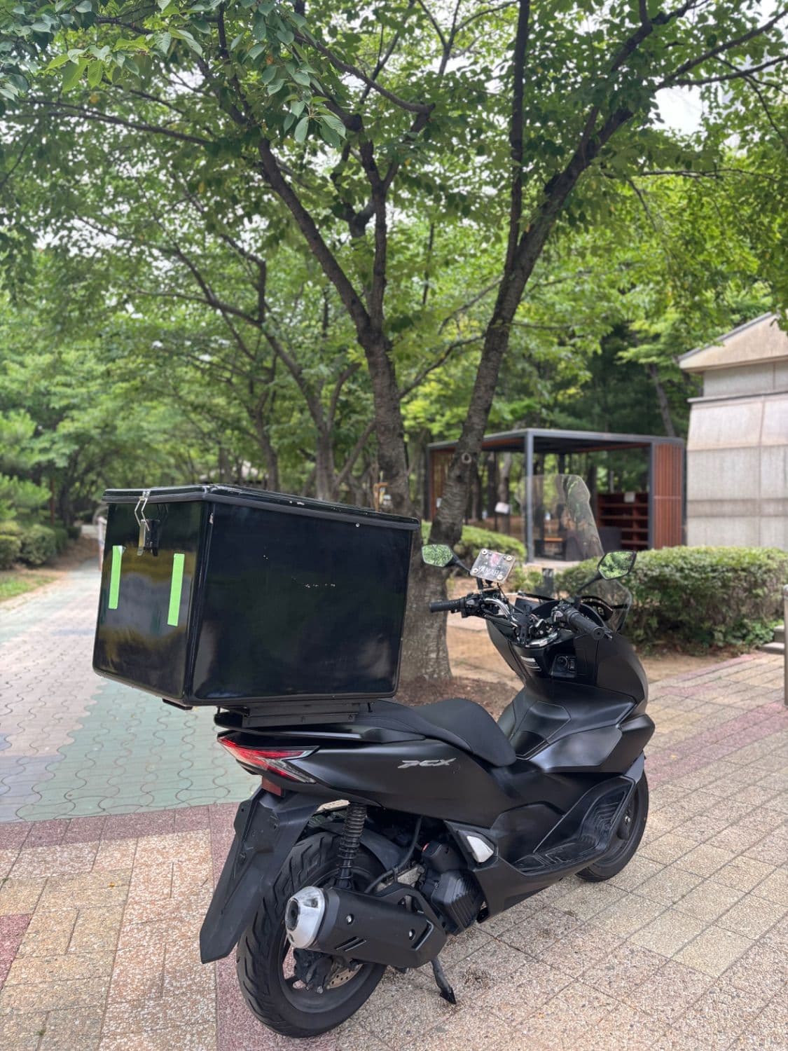 혼다 PCX 125 6