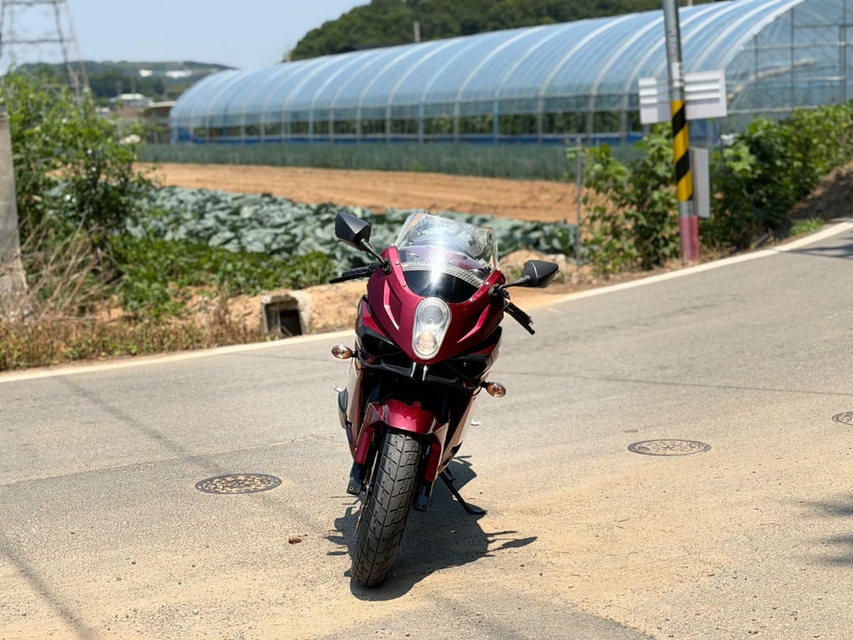 KR모터스 코멧 250 RC 3