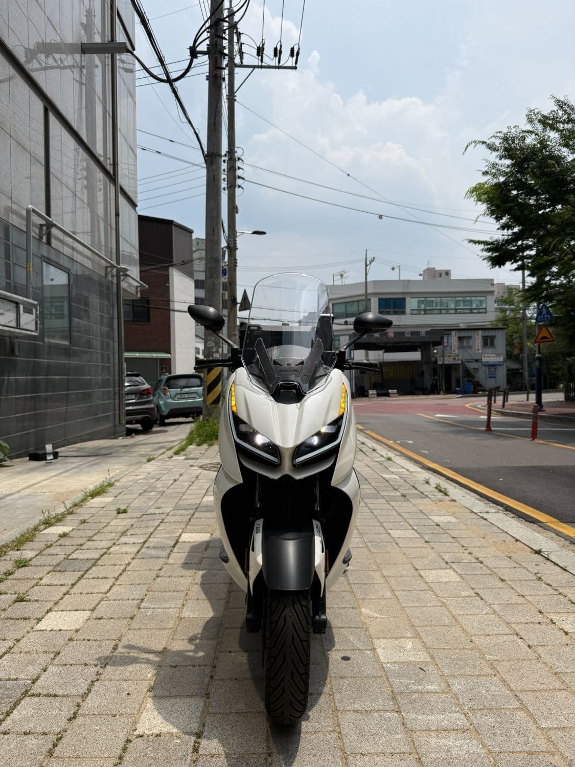 존테스 350 D 2