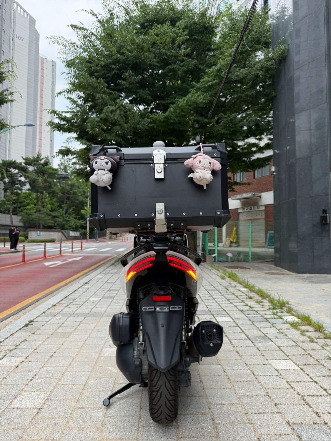 존테스 350 D 7