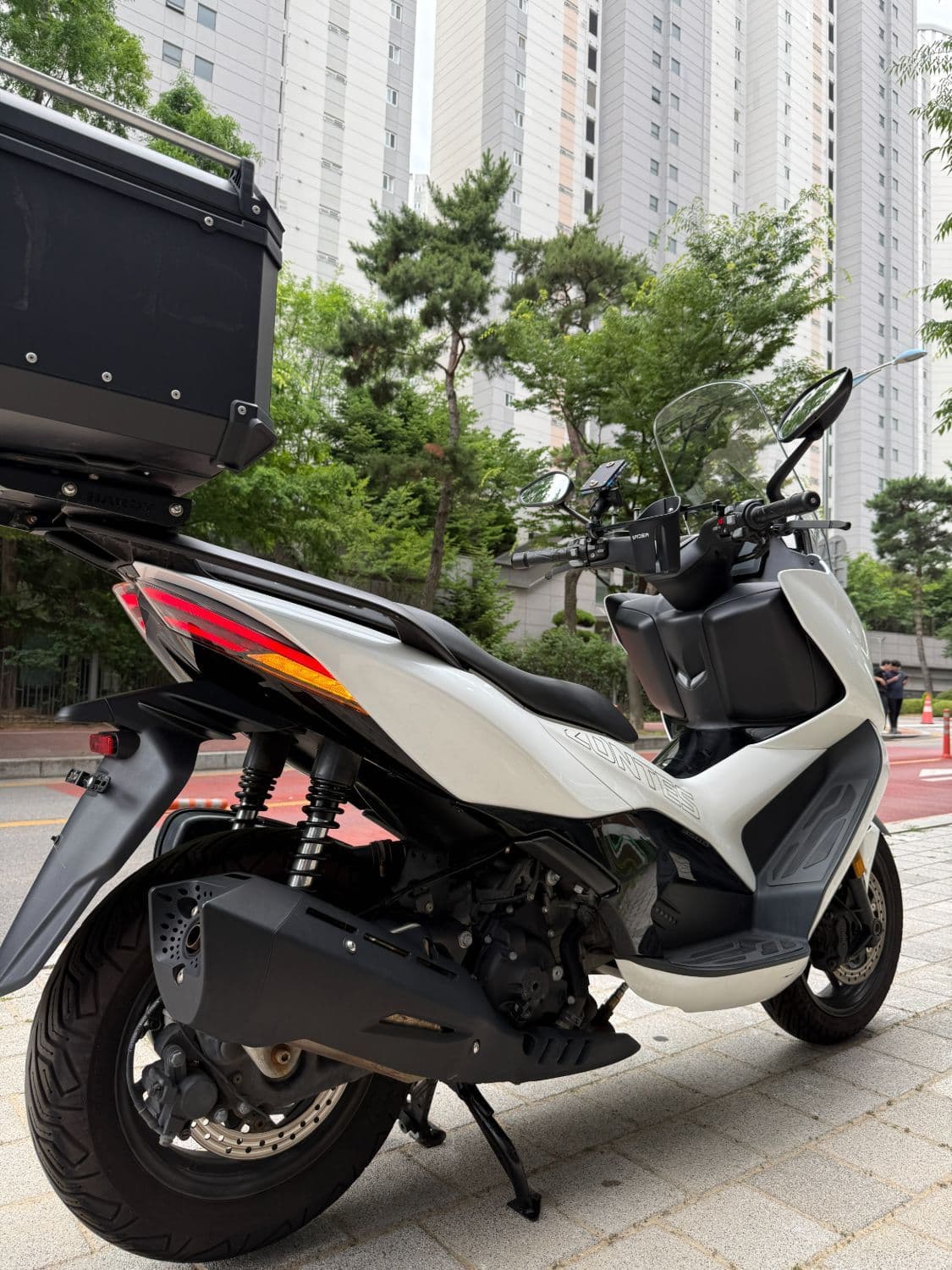 존테스 350 D 8