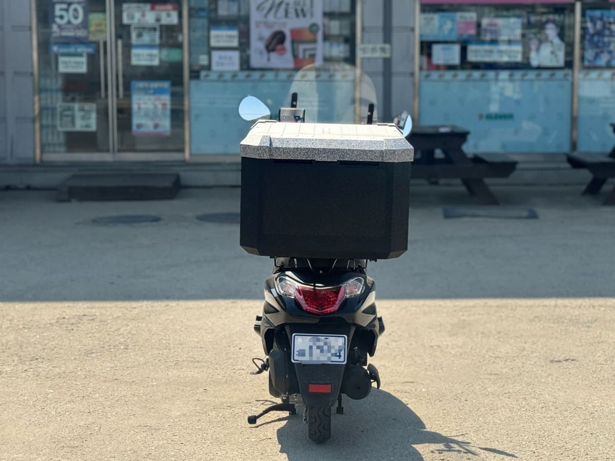 디앤에이모터스 VF 100 R 2