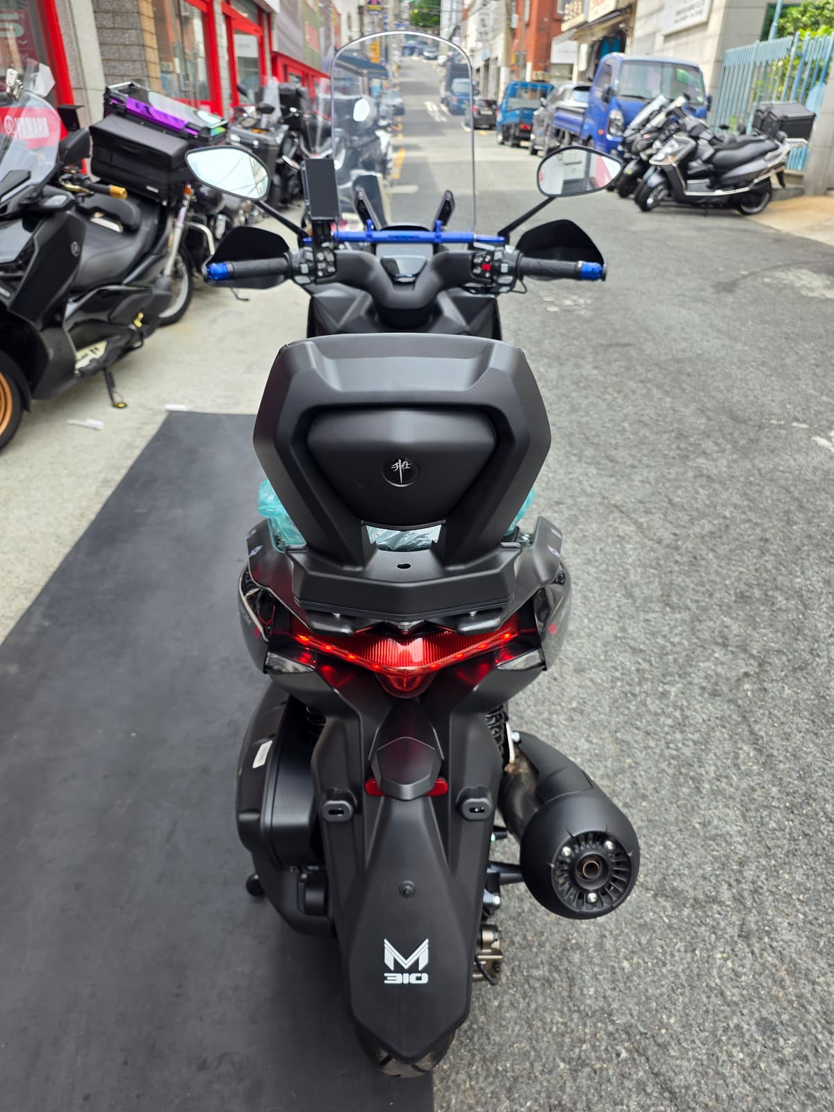 존테스 310 M 5