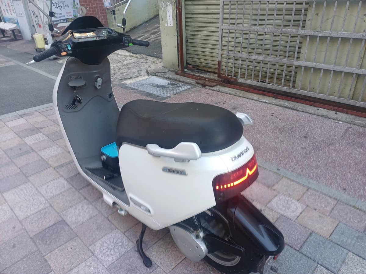 블루샤크 블루샤크 R1 4