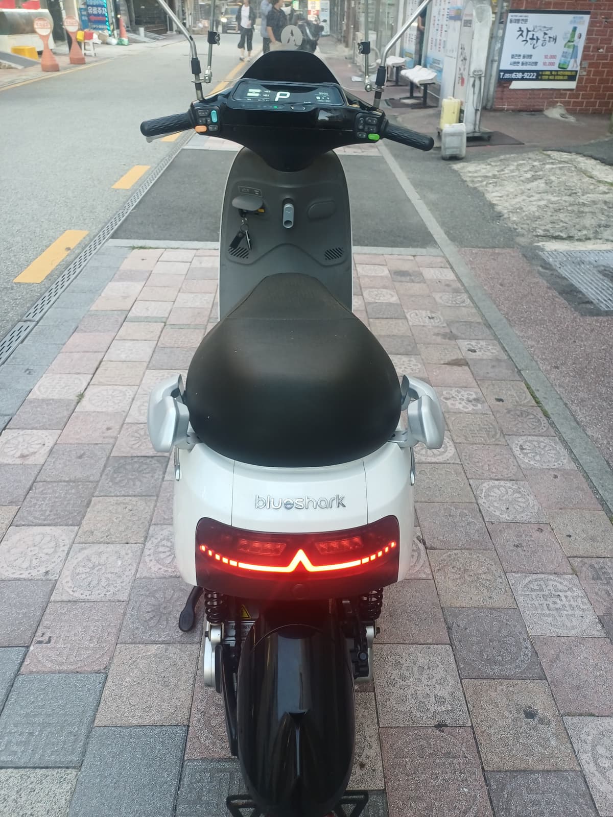 블루샤크 블루샤크 R1 5