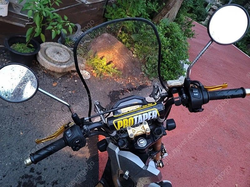 혼다 줌머 X more