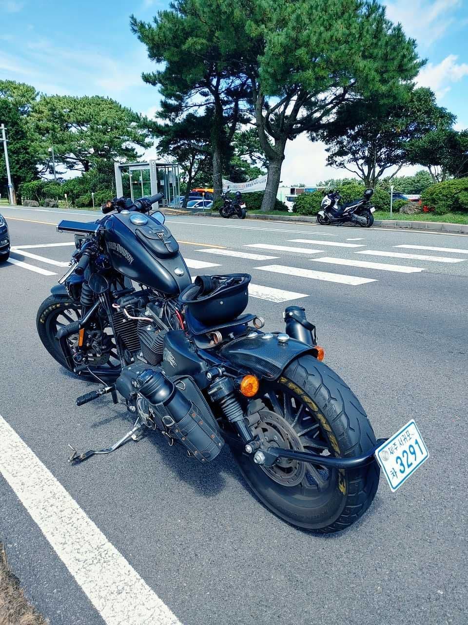 할리데이비슨 아이언 883 3