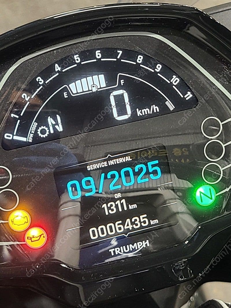 트라이엄프 타이거 스포츠 660 10