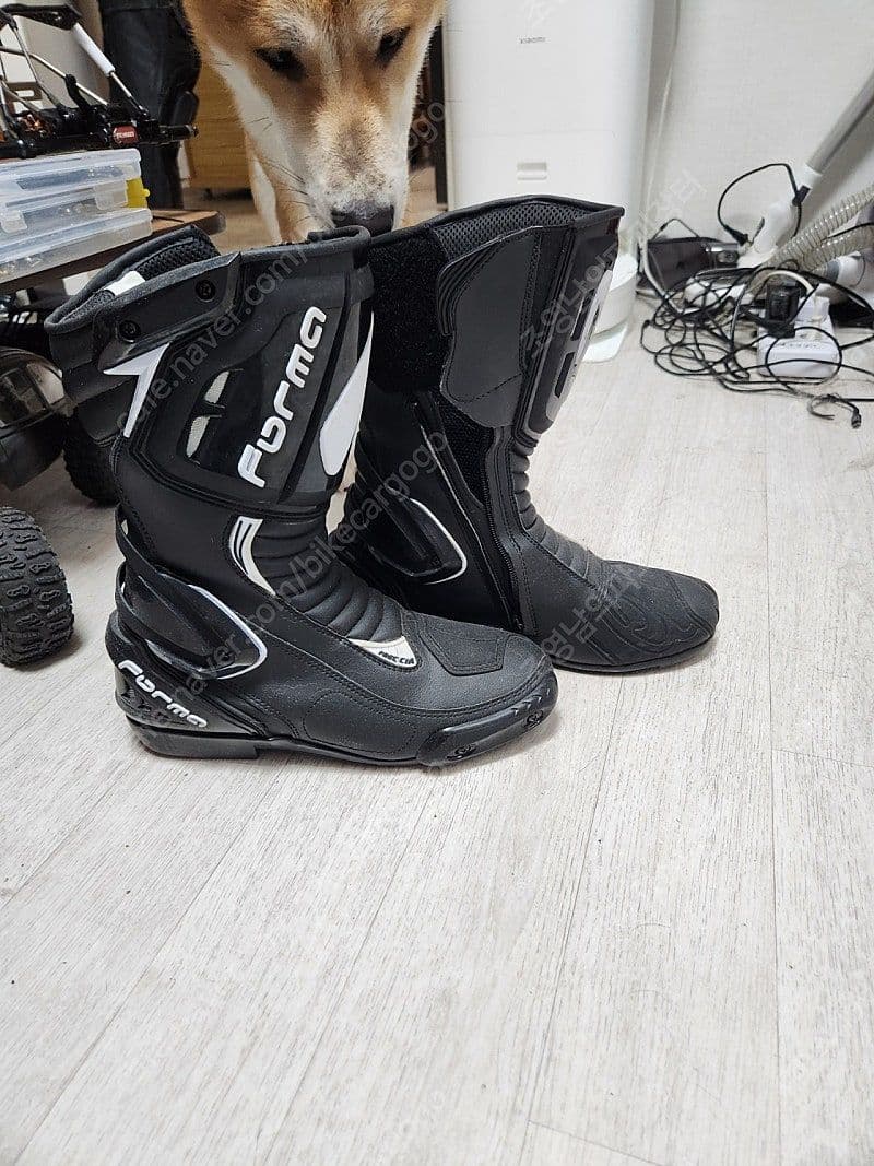 가와사키 Z 900 10