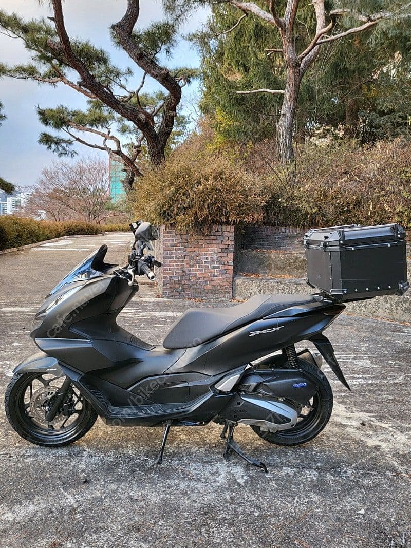 혼다 PCX 125 3