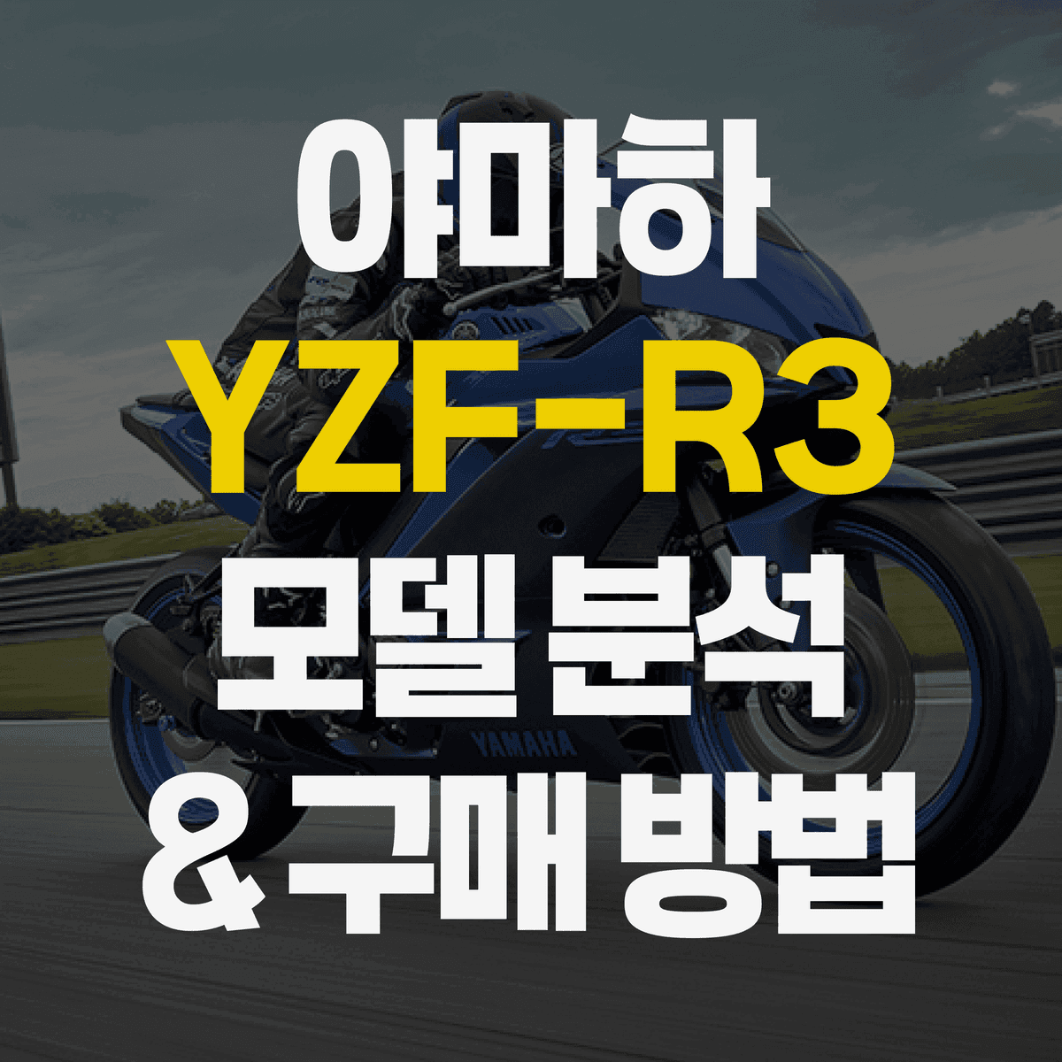 2025 야마하 YZF-R3 모델 분석 & 다양한 구매 방법 | 중고, 신차, 구매, 할부, 특징, 가격, 쿼터급 입문
