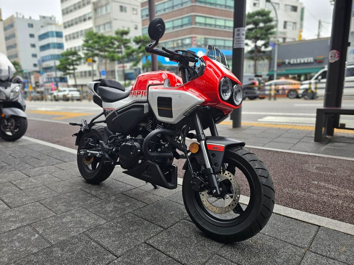 CF모토 파피오 XO-2 9