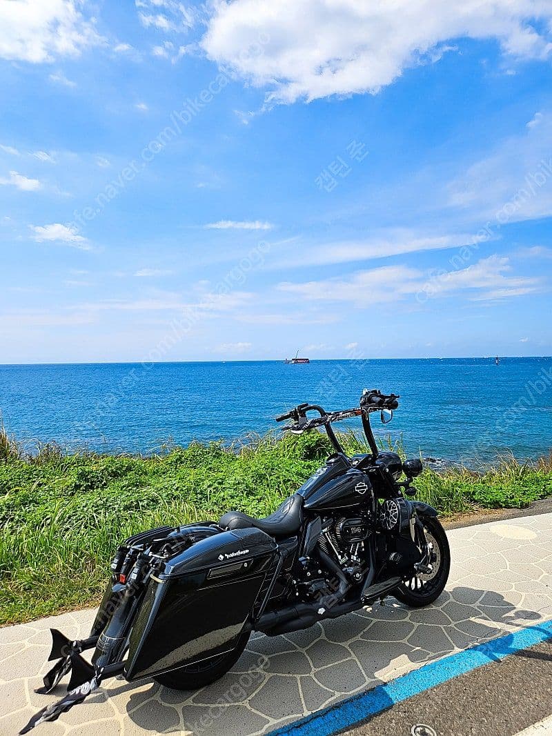 할리데이비슨 로드킹 스페셜 8