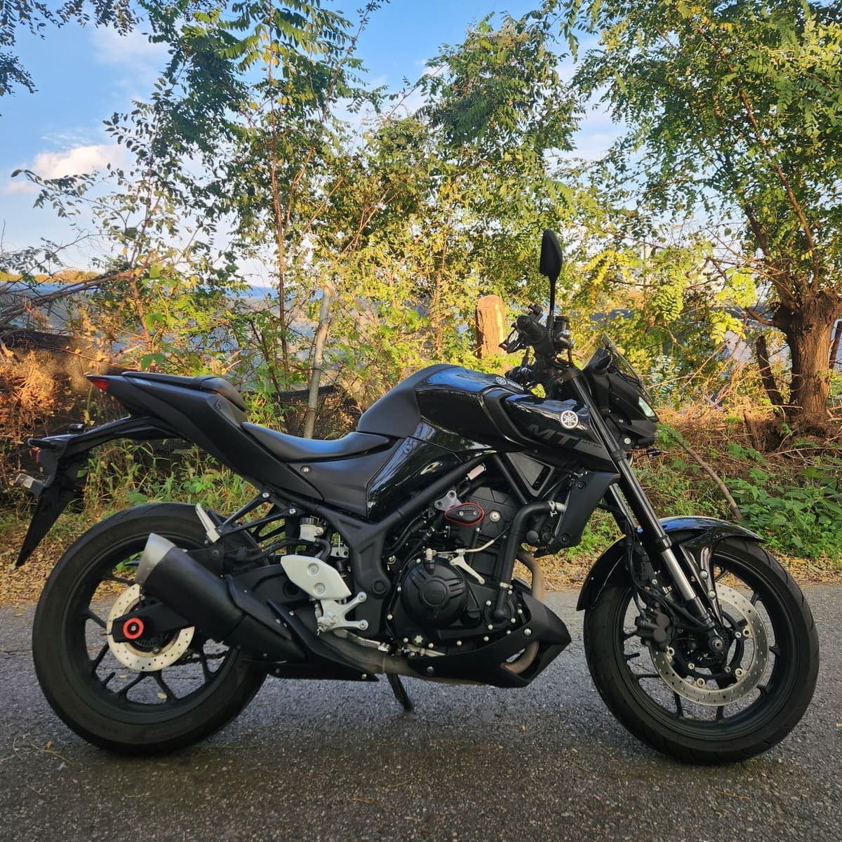 야마하 MT 03 more