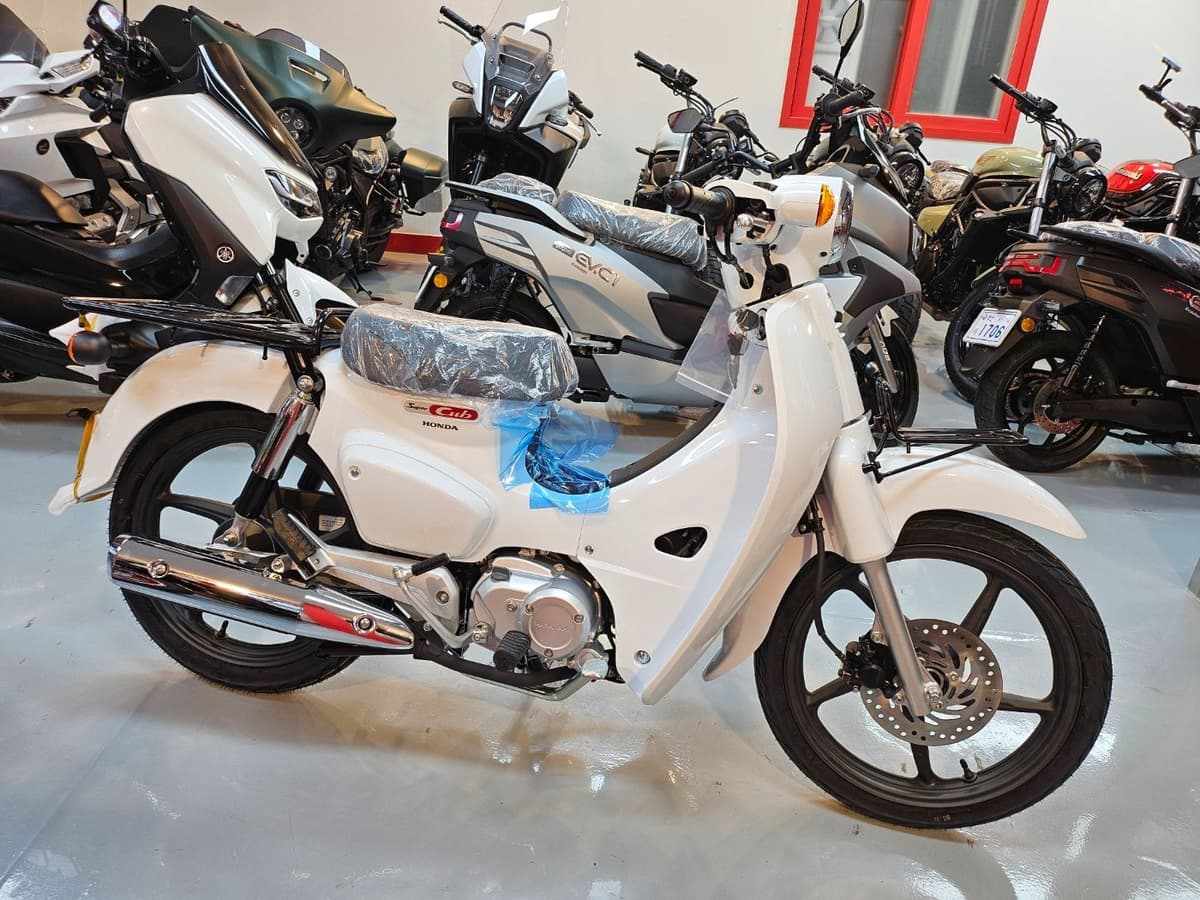 혼다 슈퍼 커브 110 2