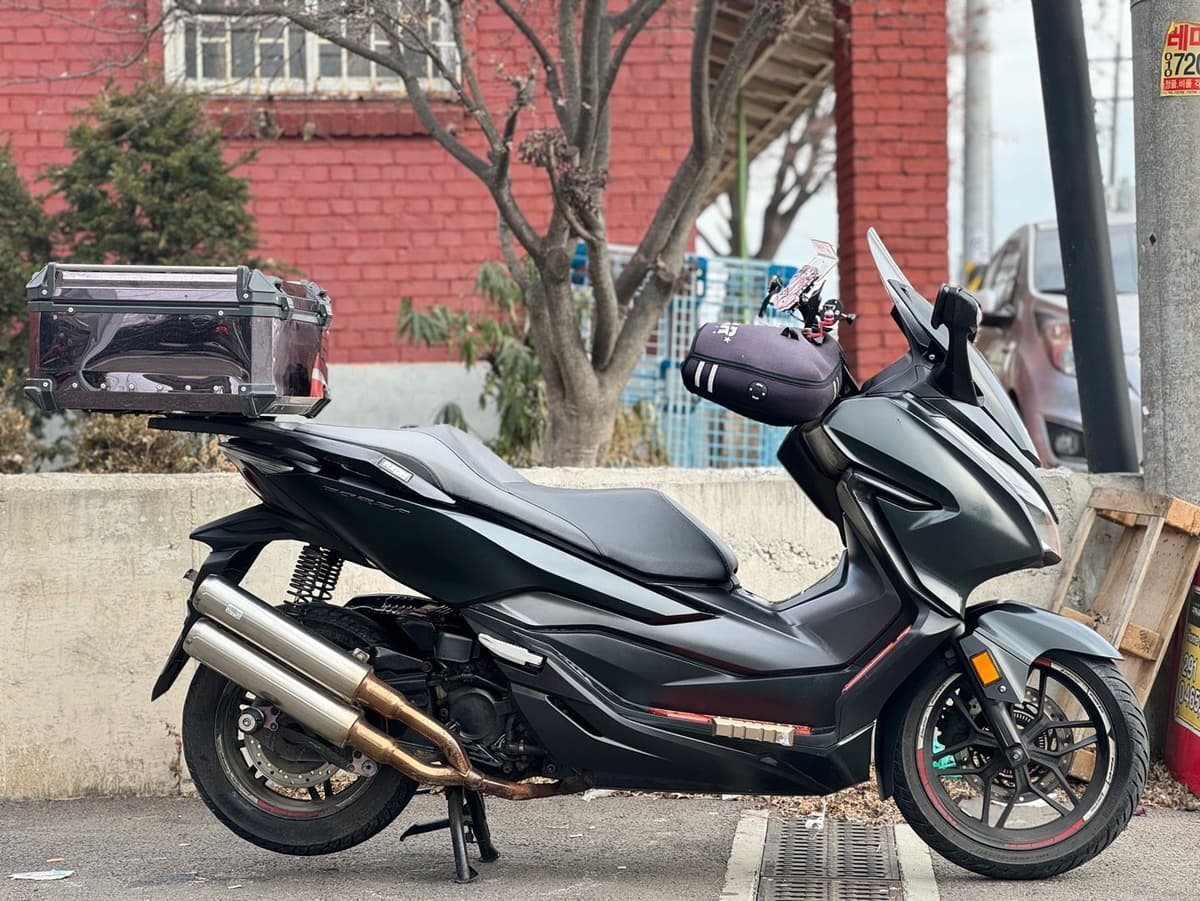 혼다 포르자 300 2