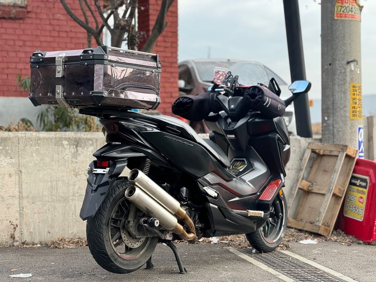 혼다 포르자 300 3