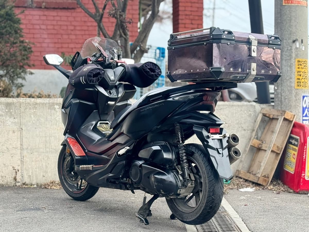 혼다 포르자 300 5