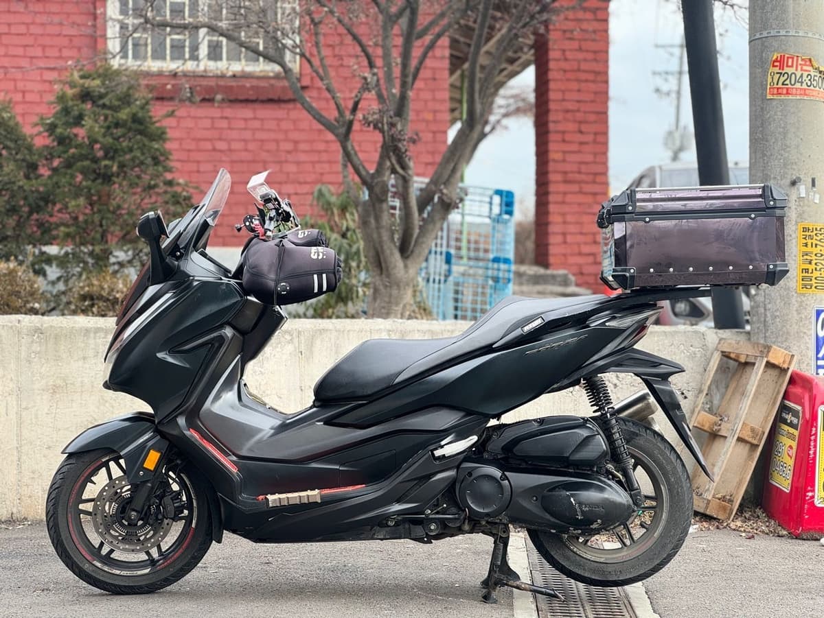 혼다 포르자 300 more