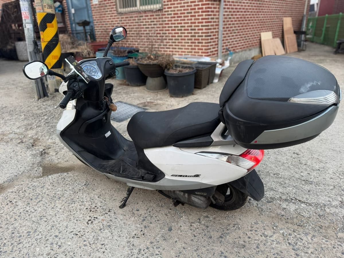 혼다 SCR 110 α more