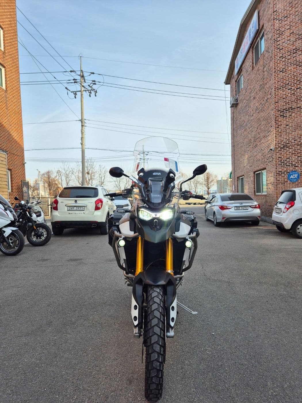 트라이엄프 타이거 900 랠리 프로 2