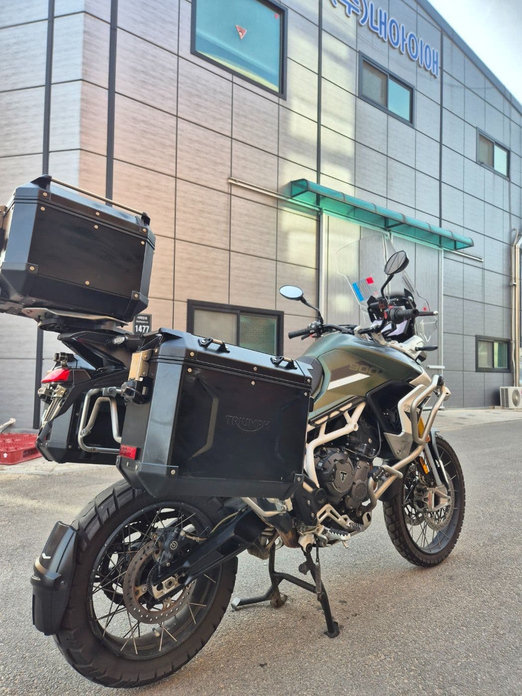 트라이엄프 타이거 900 랠리 프로 7