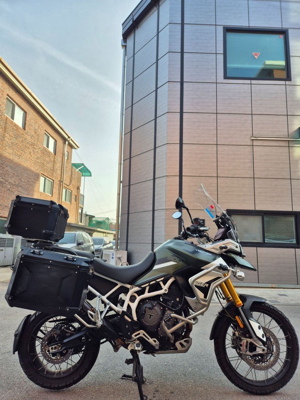 트라이엄프 타이거 900 랠리 프로 8