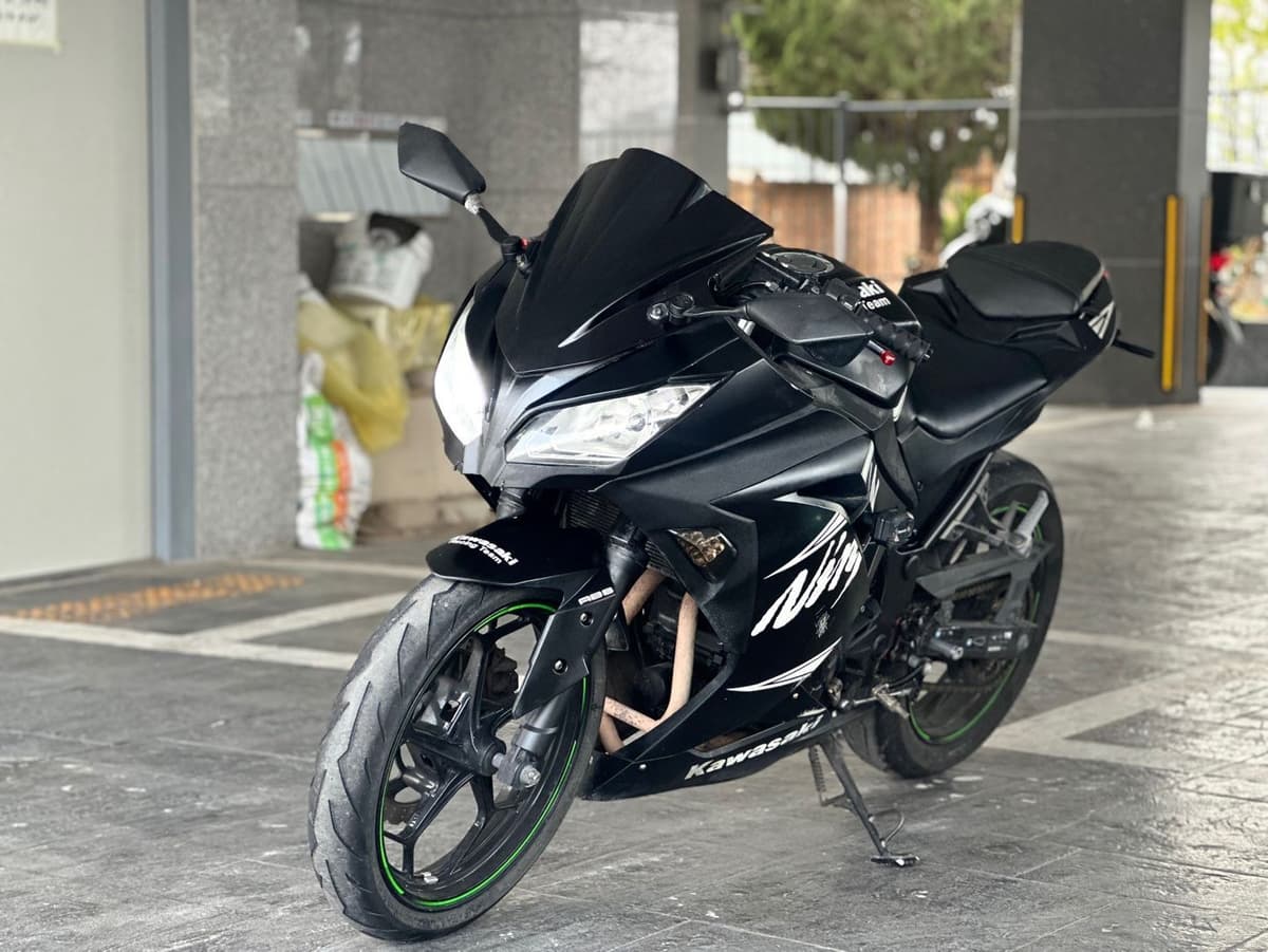 가와사키 닌자 300 ABS 3