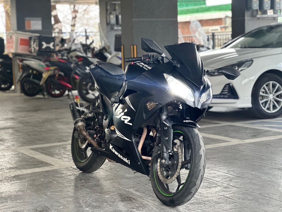 가와사키 닌자 300 ABS 1