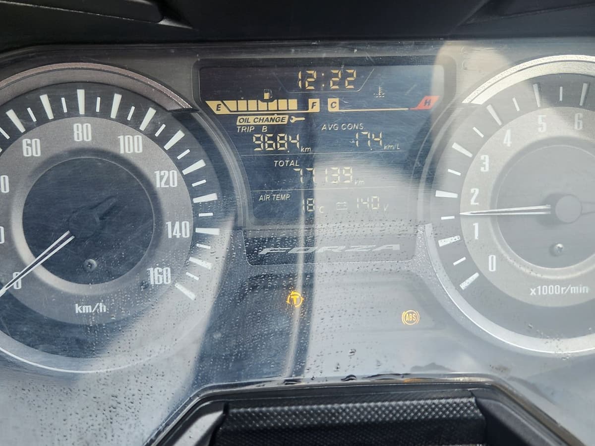 혼다 포르자 300 10